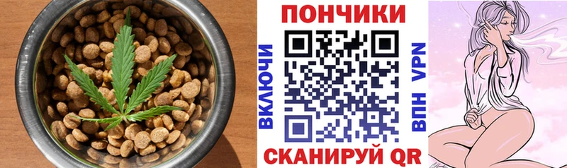 Canna-Cookies конопля  darknet наркотические препараты  Элиста 