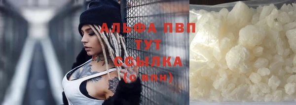 ПСИЛОЦИБИНОВЫЕ ГРИБЫ Абаза