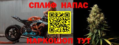 a pvp Тара