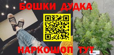 МДПВ Майкоп
