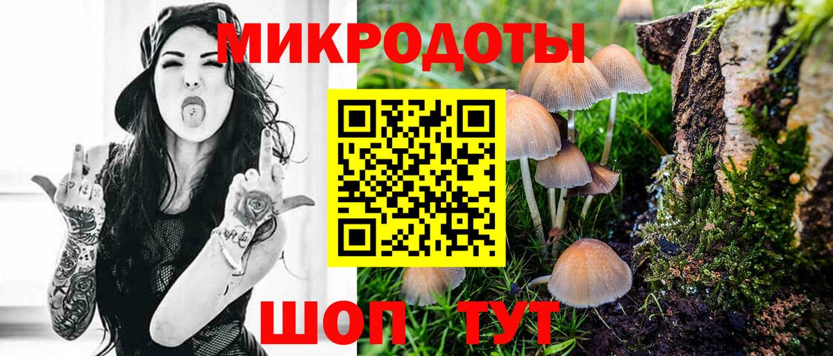 Элиста  Галлюциногенные грибы GOLDEN TEACHER  дарнет шоп  Псилоцибиновые грибы Psilocybe  Вход с VPN 