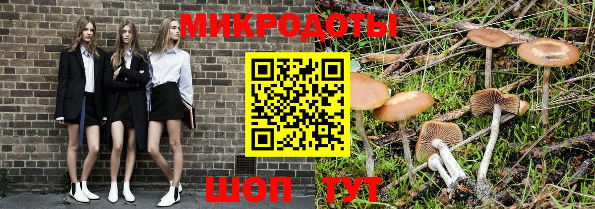 Псилоцибиновые грибы Cubensis Элиста
