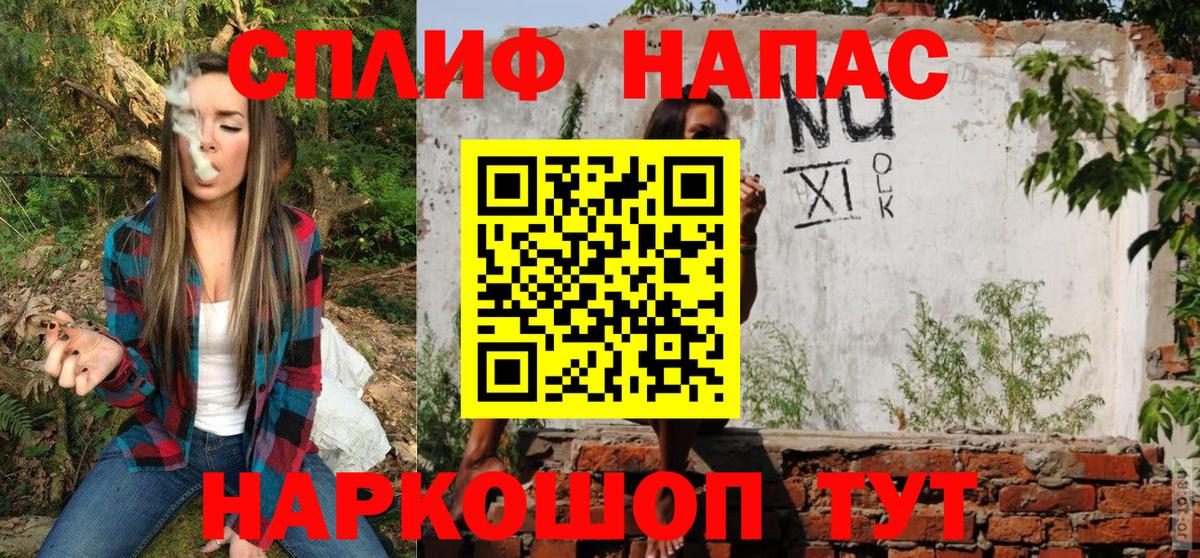 Галлюциногенные грибы Элиста